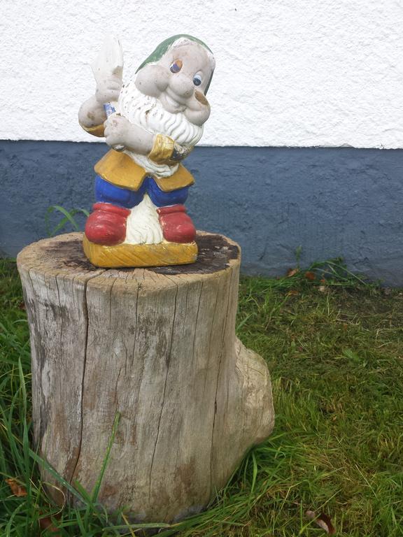 Ferienhaus Am Skihang Altenberg Bagian luar foto